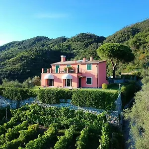La Vignana - 5 Terre Maison d'hôtes
